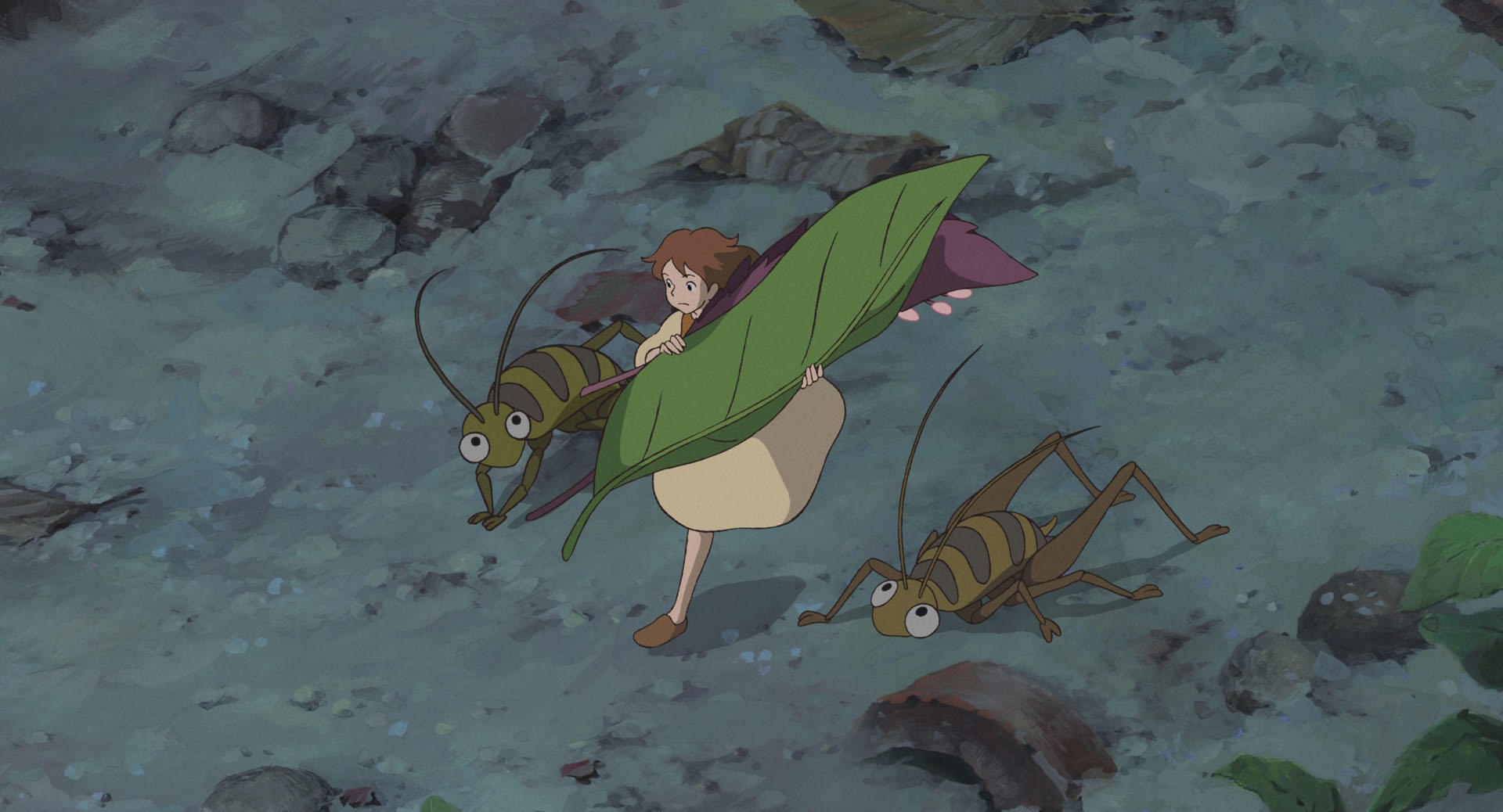 Official Studio Ghibli still illustrating a quiet rainy-day watch mood