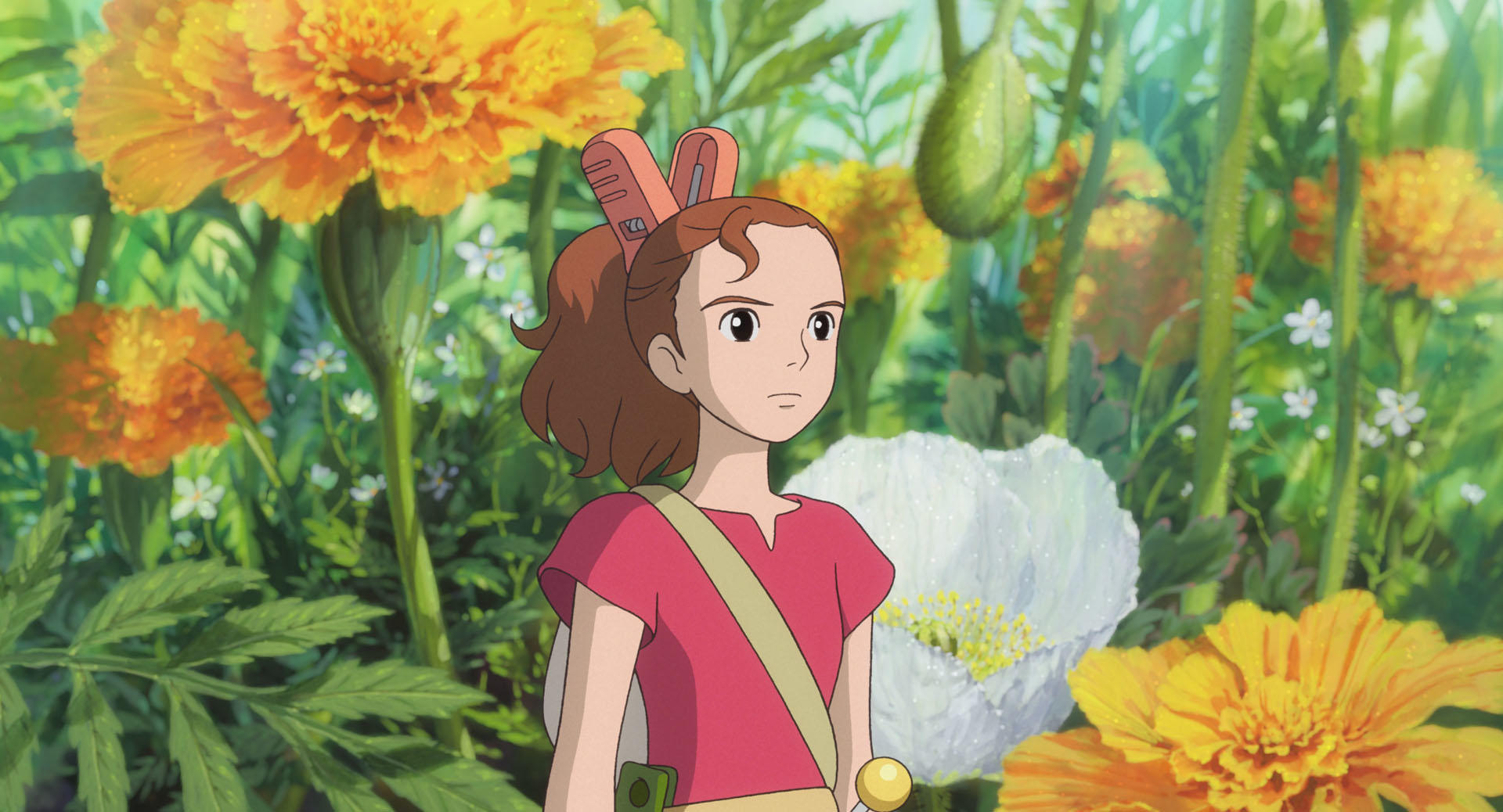 Official Studio Ghibli still used in an adaptation watch guide